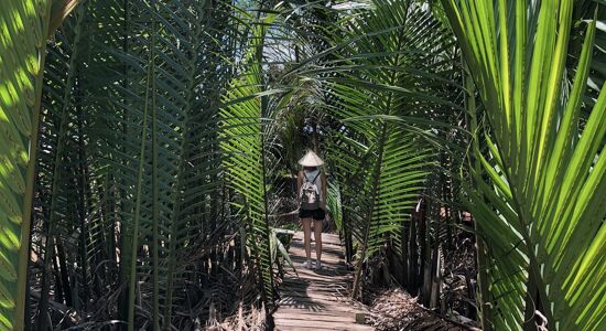 Ben Tre Con Quy Treking
